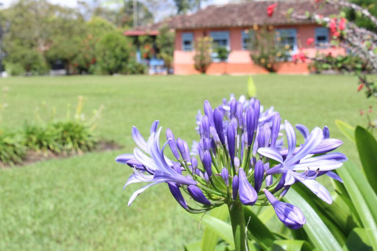 Ecohotel La Masia Llanogrande  Экстерьер фото